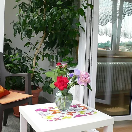 Kuku Guest house *